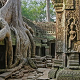 Angkor - Ta Phrom